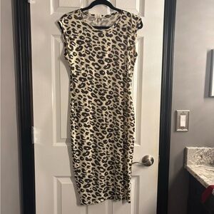 Zara Animal Print Dress